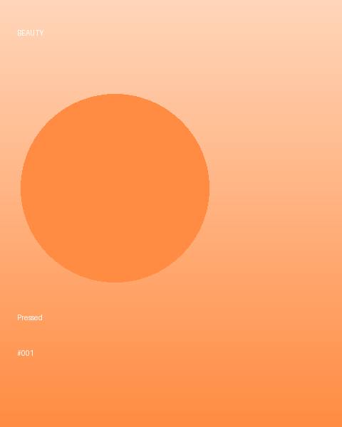 Wet n Wild HD Concealer Plum